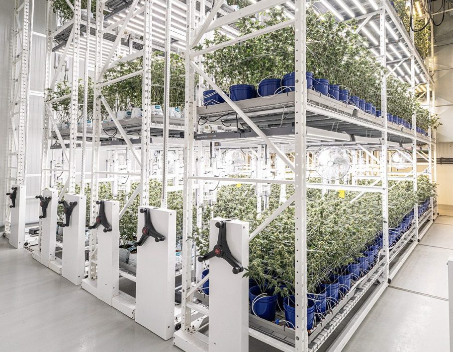 Setup Vertical farming setup with potted plants on shelves under bright lighting.